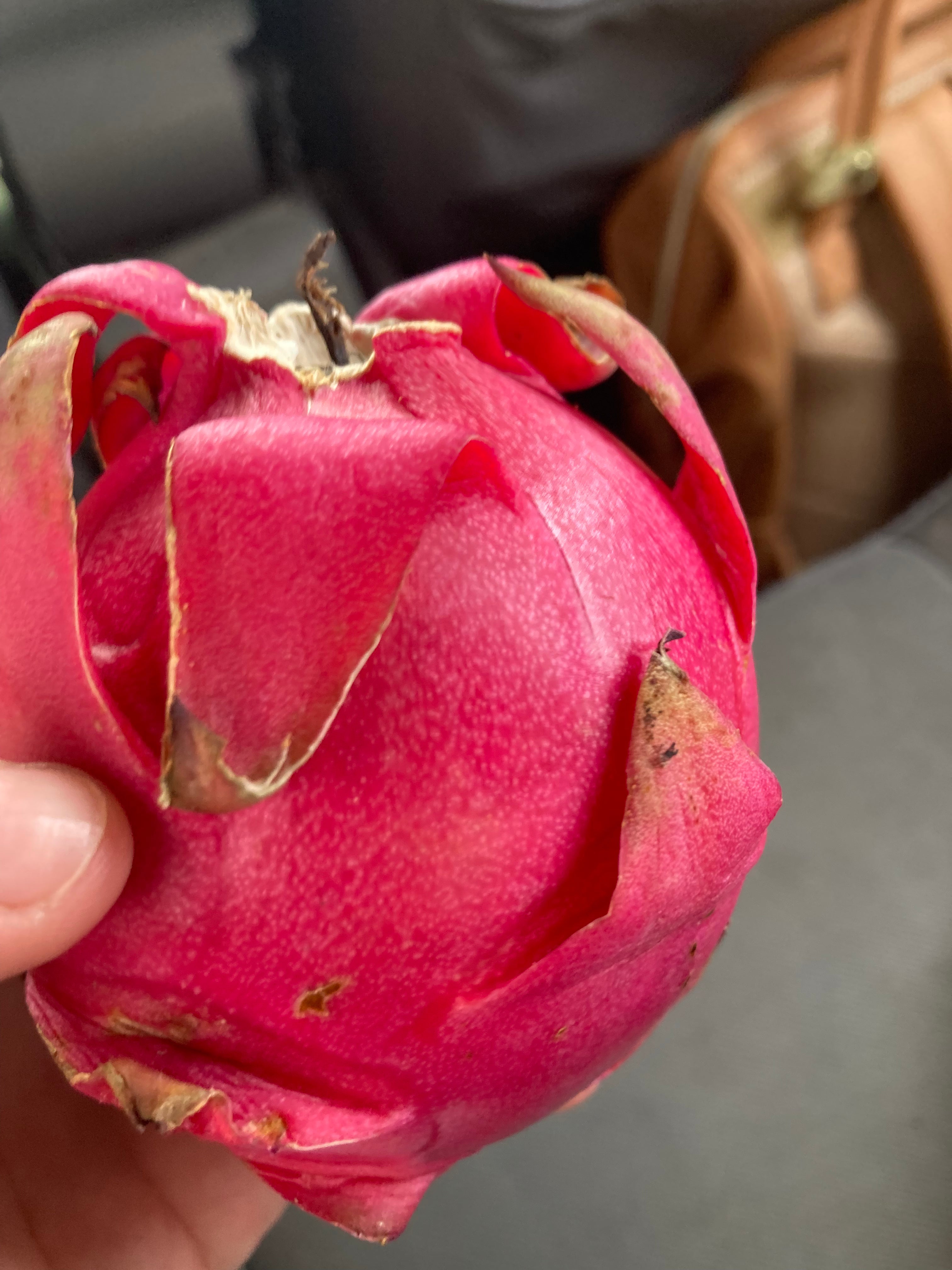 Dragonfruit Apron